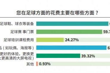《中国足球环境及未来发展白皮书（2025）》发布：100吋大屏电视成球迷客厅新标配 
