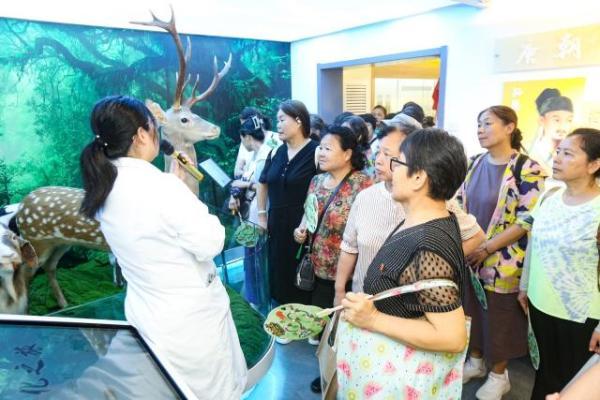 “丰宜健康・皓泽中医”活动人气不减，社会化管理退休人员走进丰台中医药博物馆