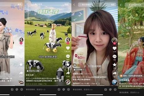 每日鲜语x《长安的荔枝》：从借势到造势，解锁热剧IP营销新范式 