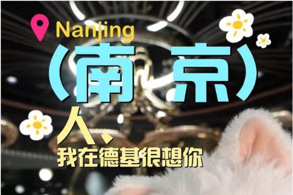 “宠物友好”正升温一座城——Mochi陪你一起看鹿晗演唱会