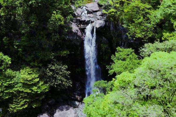 江南贡泉•活的高山泉水凭借“高山泉、高含氧、高活性”征服众多爱茶者！ 