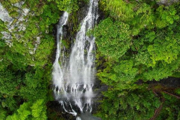 江南贡泉•活的高山泉水凭借“高山泉、高含氧、高活性”征服众多爱茶者！ 