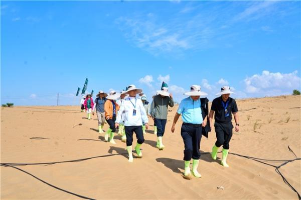 走进乌兰布和 见证世界品质——20余家知名企业单位探访蒙牛沙漠有机奶源地 