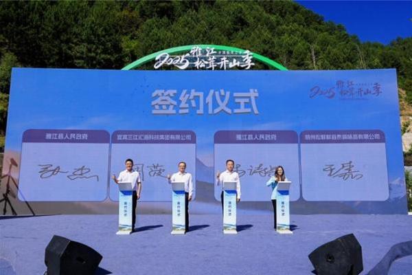 松鲜鲜携手“中国松茸之乡”雅江，共谱生态与产业融合新篇章 