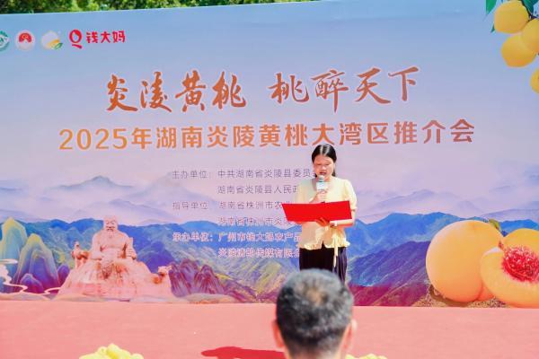 钱大妈贯通炎陵黄桃鲜达供应链，大湾区实现“早晨采摘下午尝鲜” 