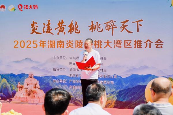 钱大妈贯通炎陵黄桃鲜达供应链，大湾区实现“早晨采摘下午尝鲜” 