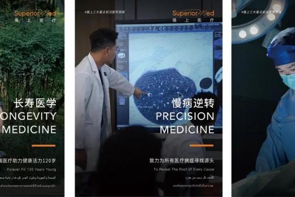 循上医疗与英国政府共促中英合作，激荡全球医疗未来 