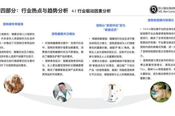 把握跨境零售新格局，任小姐出海战略咨询发布《2025年跨境电商品类研究报告》 