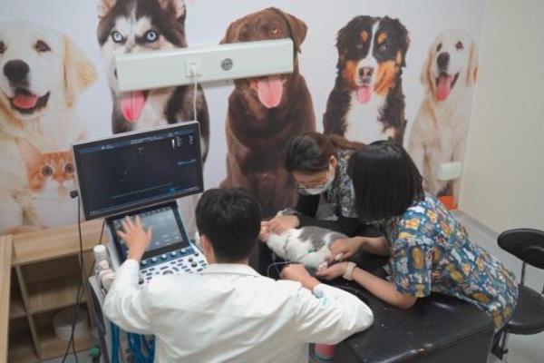 加倍关爱从“心”开始，新瑞鹏集团“守护健康心”公益行动进行中 