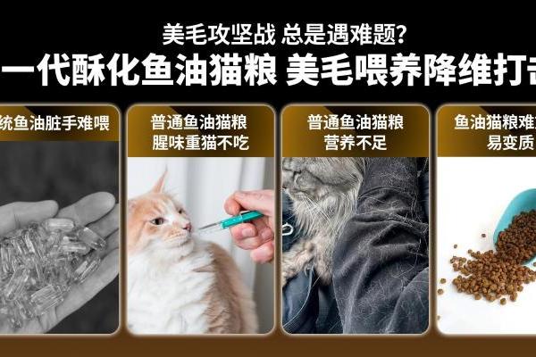 美毛赛道迎来「成分革命」！布兰德以95%高纯鱼油破局功能粮内卷 