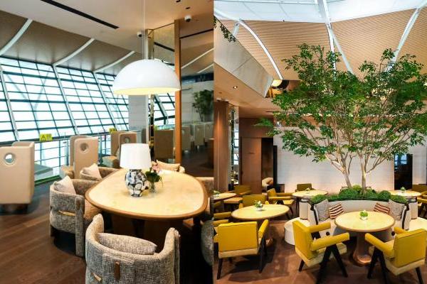 洲际酒店集团与海南航空持续深化旅行体验，共绘空地联动新图景 