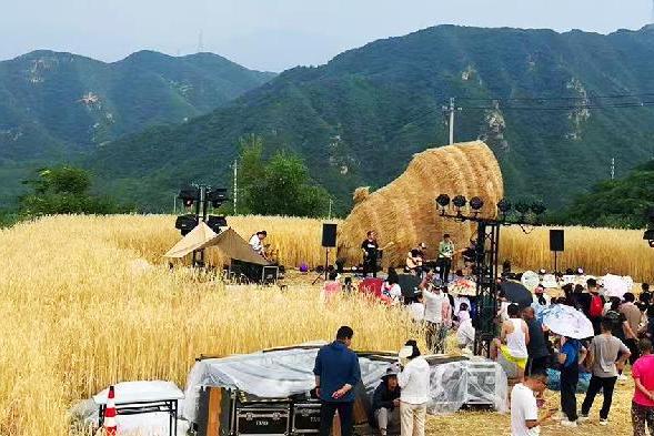 闪店X音乐会"ROBAE领地之旅携手众多艺人打造梯田自然艺术回响 