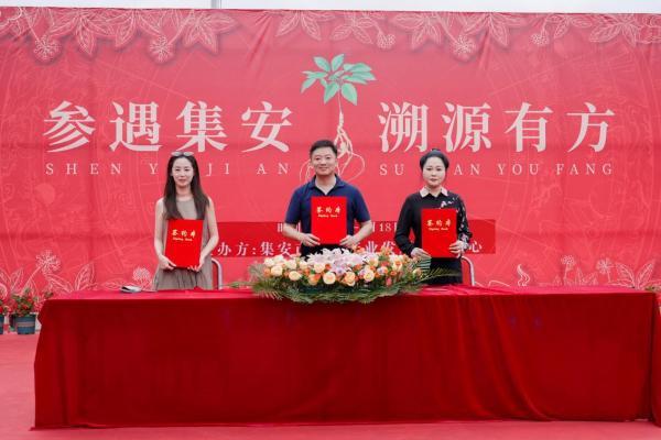首届人参产业发展促进会圆满成功！政企协研共创集安“国参故里”金名片 