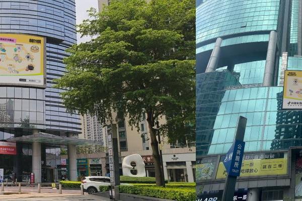 从城市流量爆点到家居产业深耕，抖音生活服务构建本地消费新范式
