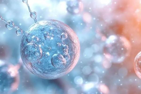 破界・守责，解码巨子生物的创新生长逻辑与社会责任图谱 