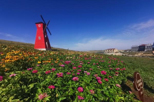 2025全国马术耐力锦标赛即将在套马沟开赛，点燃草原马术激情 