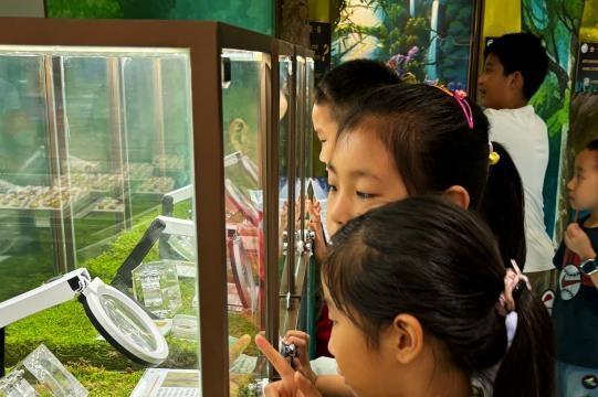 暑期玩乐学逛攻略 来菜百首饰开启“体验+福利”季