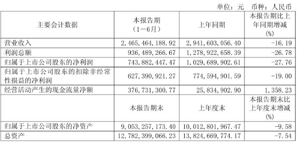养元饮品半年报业绩稳健，六个核桃多维布局锻造增长韧性