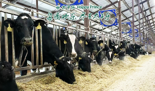 立秋“贴秋膘”，太子乐挚恩解锁宝宝秋日成长密码 