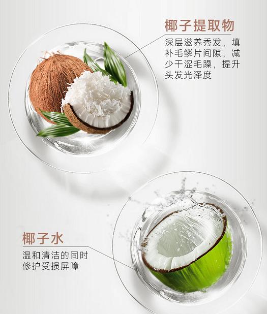 以“技术普惠”撬动无硅油洗护市场，弹动推出椰子蓬松洗发水 