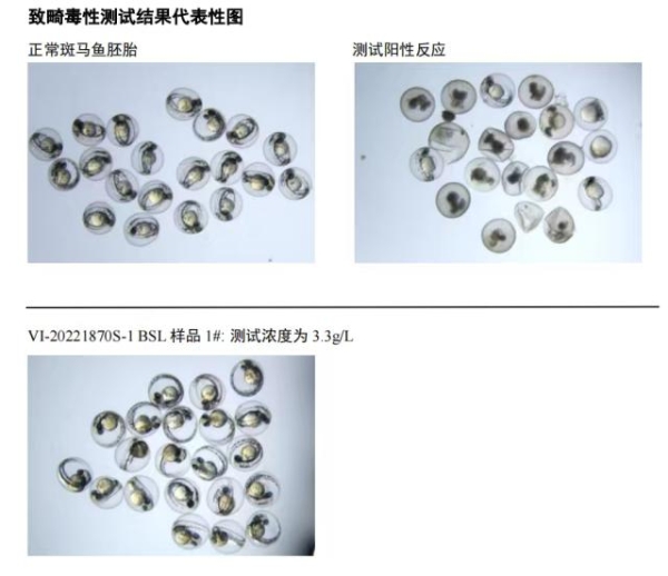 化妆品新规背景下，孕产护肤行业的适应调整与发展创新｜行业观察 