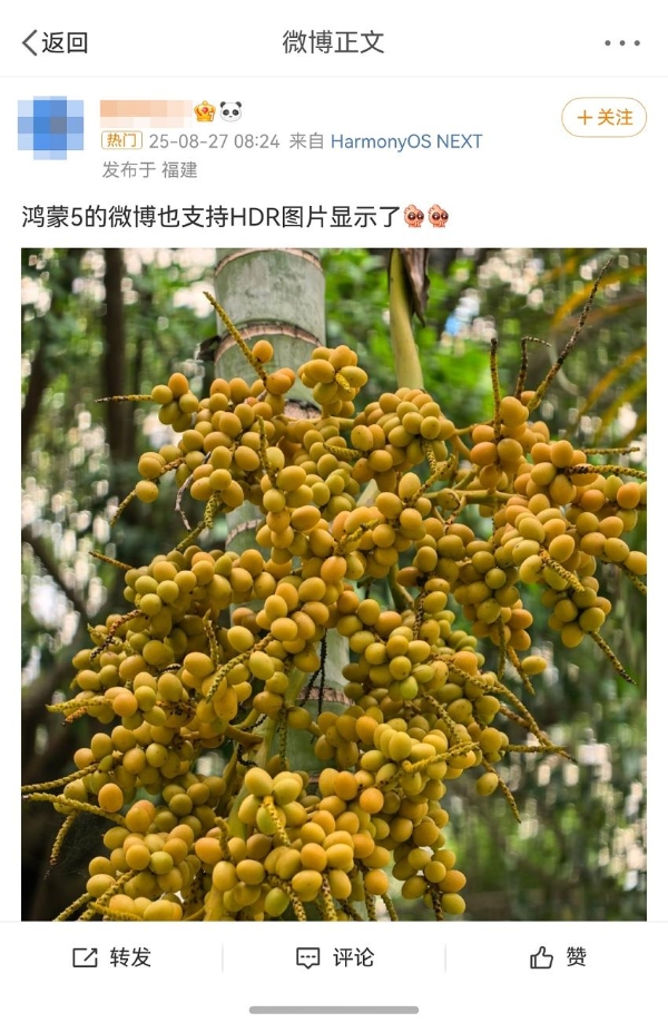 微博鸿蒙版首发支持HDR Vivid，鸿蒙5用户迎来影像浏览新突破！