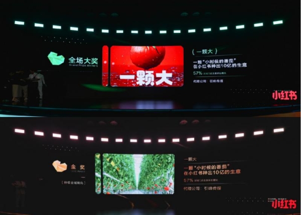 问鼎小红书种草大赏最高荣誉！一颗大™用真种草撬动十亿生意 