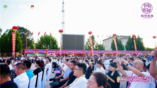 四套组合拳，打通产业链！顺丰冷链干线“全国网”，护航伽师新梅丰收季