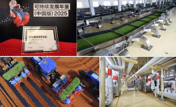 布局未来，市占第一的康师傅在寻找新增量 