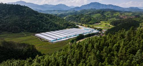 溯源新高度！鲜朗联合《中国国家地理》探秘武夷山鲜工厂，重新定义宠物食品透明标准 