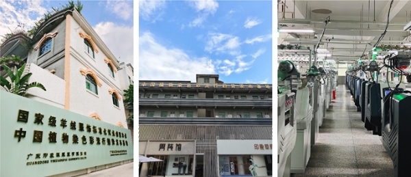 印象草原羊绒溯源之旅100小时连播，抖音服饰榜C位出圈