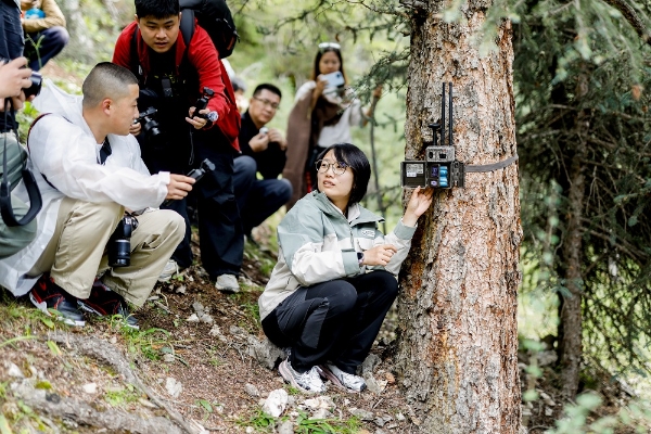 广汽丰田“一路青山·生机森林”再启程，聚力共谱生态守护新篇章 