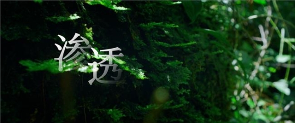 东方“水哲学”照见万家烟火：凯度TVC以流动科技重构厨房温度 