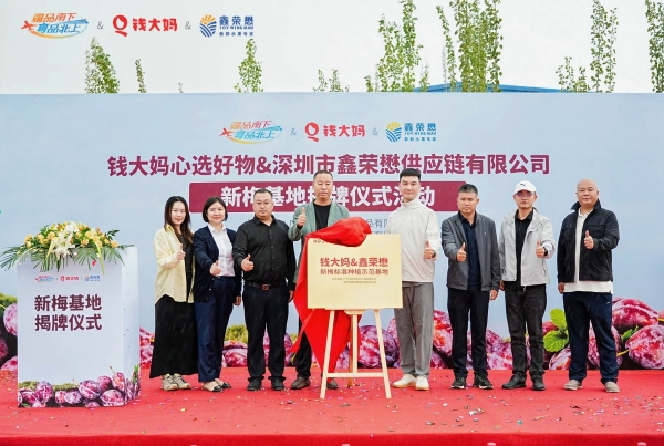 钱大妈携手鑫荣懋新疆共建西梅基地，推动“疆品南下”提质升级 