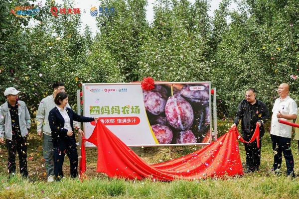 钱大妈携手鑫荣懋新疆共建西梅基地，推动“疆品南下”提质升级 