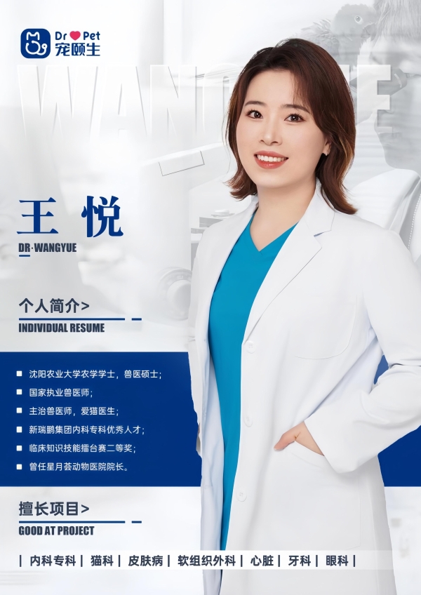 11岁猫咪的生命接力：新瑞鹏旗下宠颐生宠物医院沈阳中心医院的救援实录 