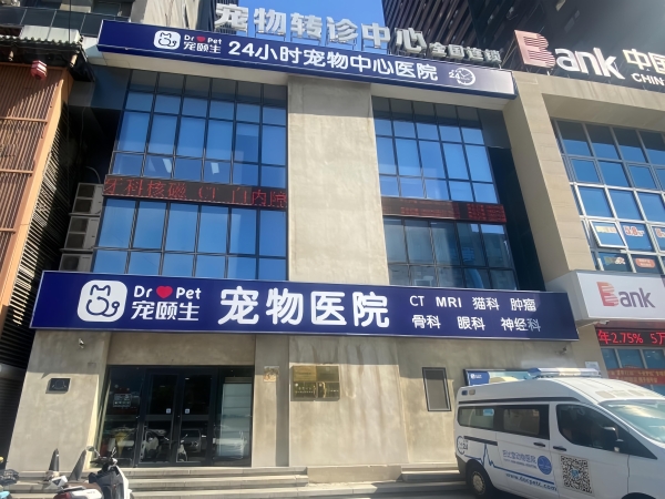 11岁猫咪的生命接力：新瑞鹏旗下宠颐生宠物医院沈阳中心医院的救援实录 