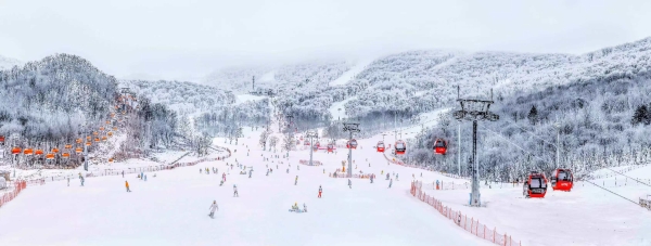 冰雪经济又一重大项目！中旅国际收购吉林松花湖滑雪度假区 