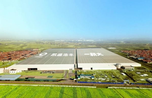一颗大™强势亮相2025中国国际水果展，首日签约超预期 