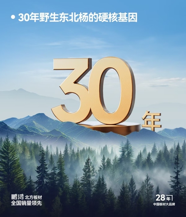 鹏鸿板材：以北方板材标准重塑品质格局，定义抗裂稳定新高度 