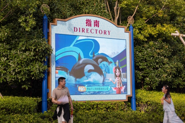 一条数字美人鱼，如何焕活上海海洋文化？