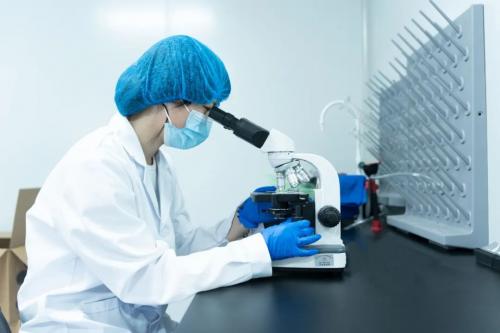 康西爷纯红薯粉条斩获两项权威认证 树立行业品质新标杆