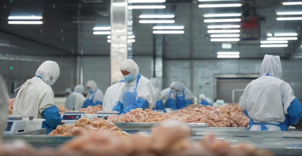 供应链优势解码：大鼓米线500 +门店稳健扩张背后的逻辑与支撑 