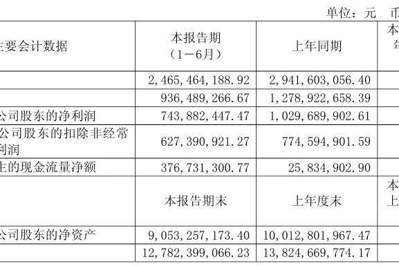 养元饮品半年报业绩稳健，六个核桃多维布局锻造增长韧性