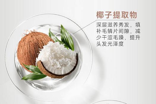 以“技术普惠”撬动无硅油洗护市场，弹动推出椰子蓬松洗发水 