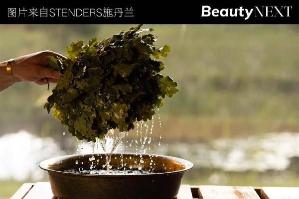 施丹兰，以“情绪疗愈”引领高端个护新叙事