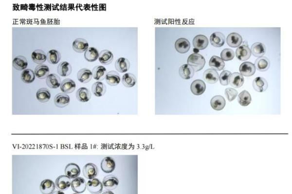 化妆品新规背景下，孕产护肤行业的适应调整与发展创新｜行业观察 