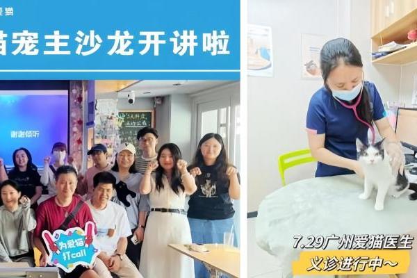 致敬国际猫咪日：新瑞鹏集团以懂猫、爱猫之心，守护每只猫的健康 