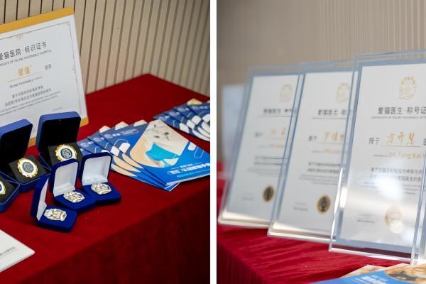 致敬国际猫咪日：新瑞鹏集团以懂猫、爱猫之心，守护每只猫的健康 