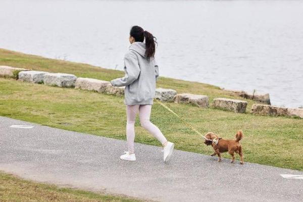 秋季润燥正当时 龙角散成健康“养声”好搭子 
